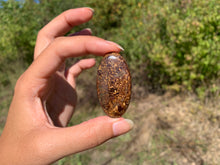 Charger l'image dans la galerie, Bronzite 21