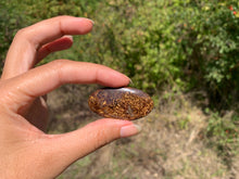 Charger l'image dans la galerie, Bronzite 21