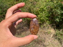 Charger l'image dans la galerie, Bronzite 21