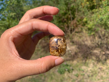 Charger l'image dans la galerie, Bronzite 25