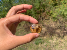 Charger l'image dans la galerie, Bronzite 25