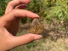 Charger l'image dans la galerie, Bronzite 26