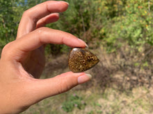 Charger l'image dans la galerie, Bronzite 26