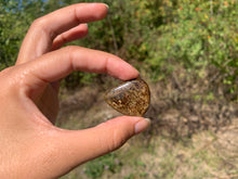 Charger l'image dans la galerie, Bronzite 26