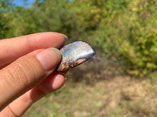 Charger l'image dans la galerie, Bronzite 27