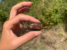 Charger l'image dans la galerie, Bronzite 27