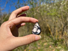 Charger l'image dans la galerie, Hypersthène 38