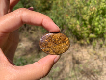 Charger l'image dans la galerie, Bronzite 31