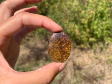 Charger l'image dans la galerie, Bronzite 31