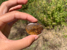 Charger l'image dans la galerie, Bronzite 31