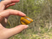 Charger l'image dans la galerie, Oeil de tigre 64