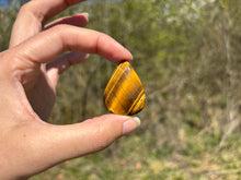 Charger l'image dans la galerie, Oeil de tigre 64