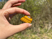 Charger l'image dans la galerie, Oeil de tigre 64