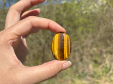 Charger l'image dans la galerie, Oeil de tigre 65