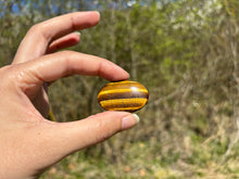 Charger l'image dans la galerie, Oeil de tigre 65