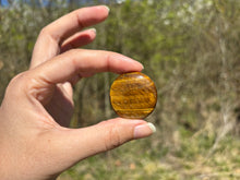 Charger l'image dans la galerie, Oeil de tigre 66