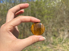 Charger l'image dans la galerie, Oeil de tigre 66