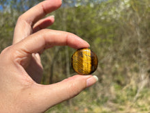 Charger l'image dans la galerie, Oeil de tigre 67