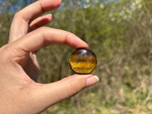 Charger l'image dans la galerie, Oeil de tigre 67