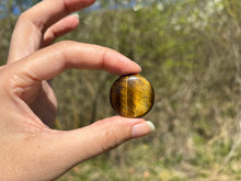 Charger l'image dans la galerie, Oeil de tigre 67