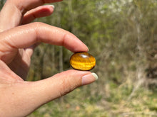 Charger l'image dans la galerie, Oeil de tigre 68