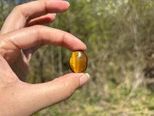 Charger l'image dans la galerie, Oeil de tigre 68