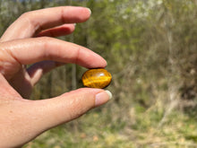 Charger l'image dans la galerie, Oeil de tigre 68