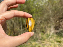 Charger l'image dans la galerie, Oeil de tigre 69