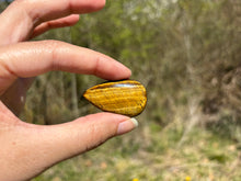 Charger l'image dans la galerie, Oeil de tigre 69