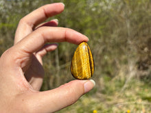 Charger l'image dans la galerie, Oeil de tigre 69