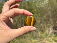 Charger l'image dans la galerie, Oeil de tigre 70