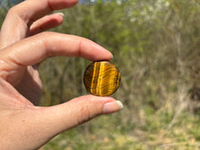 Charger l'image dans la galerie, Oeil de tigre 70