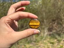 Charger l'image dans la galerie, Oeil de tigre 70