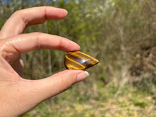 Charger l'image dans la galerie, Oeil de tigre 71