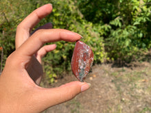 Charger l'image dans la galerie, Jaspe héliotrope 17