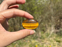 Charger l'image dans la galerie, Oeil de tigre 72