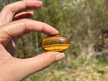 Charger l'image dans la galerie, Oeil de tigre 72