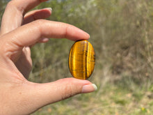 Charger l'image dans la galerie, Oeil de tigre 72