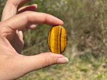 Charger l'image dans la galerie, Oeil de tigre 72