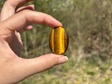 Charger l'image dans la galerie, Oeil de tigre 73