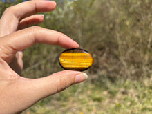 Charger l'image dans la galerie, Oeil de tigre 73