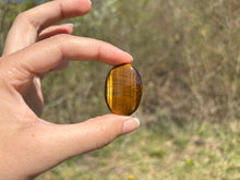 Charger l'image dans la galerie, Oeil de tigre 73