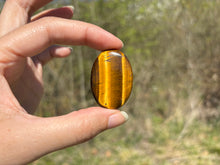 Charger l'image dans la galerie, Oeil de tigre 74