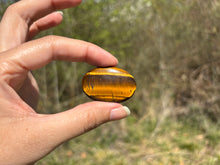 Charger l'image dans la galerie, Oeil de tigre 74