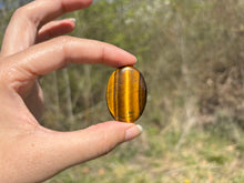 Charger l'image dans la galerie, Oeil de tigre 74