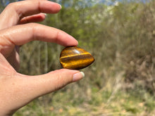 Charger l'image dans la galerie, Oeil de tigre 76