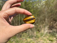 Charger l'image dans la galerie, Oeil de tigre 76