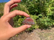 Charger l'image dans la galerie, Jaspe héliotrope 21