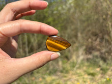 Charger l'image dans la galerie, Oeil de tigre 77