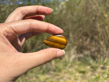 Charger l'image dans la galerie, Oeil de tigre 77